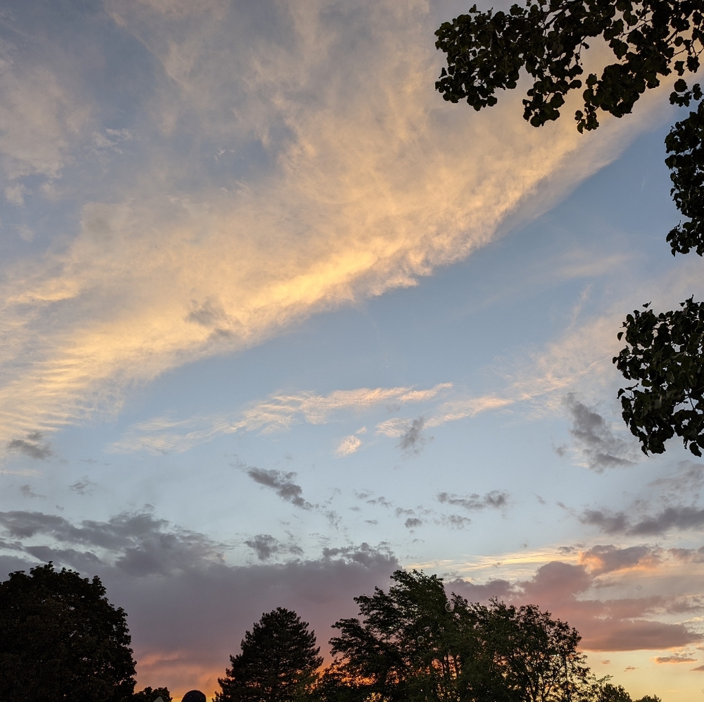 Meet your Posher, Marie